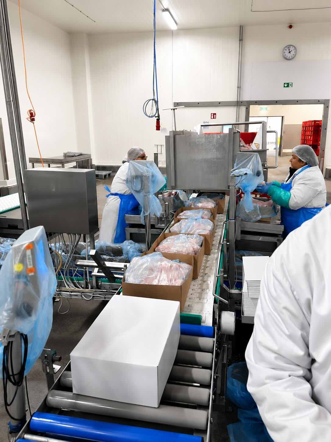 Packing line