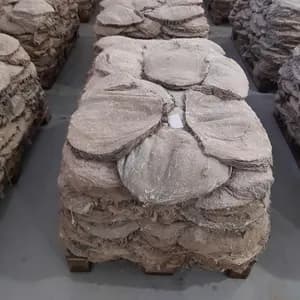 Frozen Beef Salted Omasum, Tripe