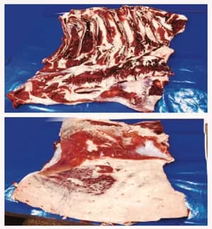 Beef Brisket & Flank product image