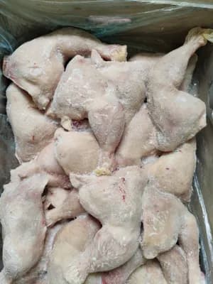 Frozen Chicken CLQ, Block frozen, Grade A