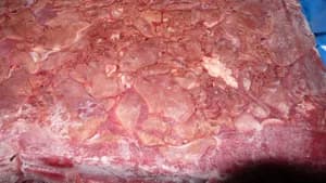 Chicken liver polyblock