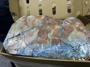 Other (Chicken meat) product image