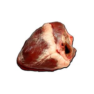 Frozen Premium Beef Heart Whole Cut – Export Grade Industrial Beef Offal