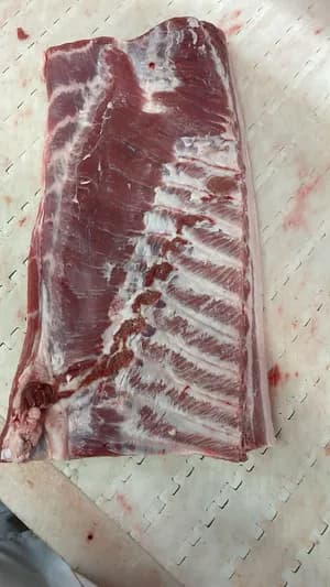 Pork belly bone in, rind on - A grade product image