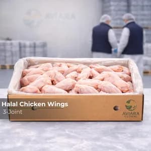 Frozen IQF Halal Chicken Wings – 3 Joint (Whole Wing)