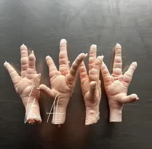 FROZEN CHICKEN PAWS , GACC
