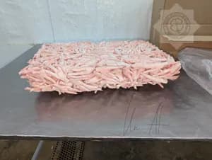 凤爪 _ FROZEN CHICKEN PAWS , GACC