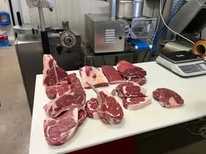 Angus fresh and frozen meat!