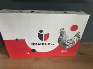 Chicken leg quarter product image