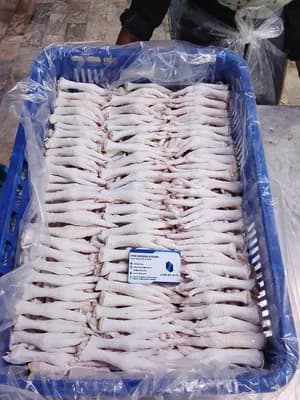 Frozen Chicken Paws and Feet