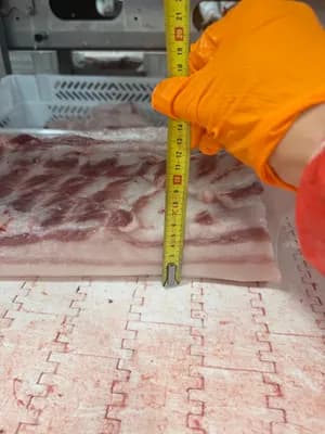 Marble Iberico 5+ for Japan export order high quality(formed correct even cut)