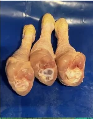 Yellow skin chicken meat cuts