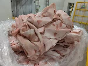 frozen pork hard cutting fat