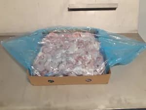 Chicken Thigh, Leg & Drumstick product image