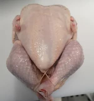 Frozen chicken griller, sizes 800, 900, 1000, 1100 gr, packaging 10 pieces in carton.Price 1,55 eur exw.