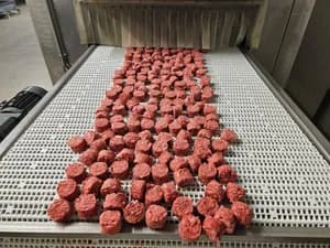 Premium Organic Beef Meatballs with Carrot (Frozen Raw Pet Food)