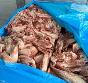 Frozen pork tongues, swiss cut