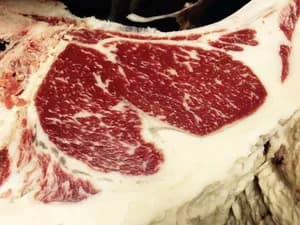 Canadian F1 Wagyu beef - fit for EU - halal