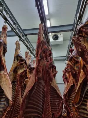 Schweine-Spezialschnitte product image