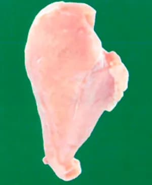 Chicken Breast & Fillet product image