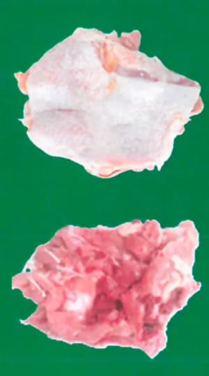 Chicken Thigh, Leg & Drumstick product image