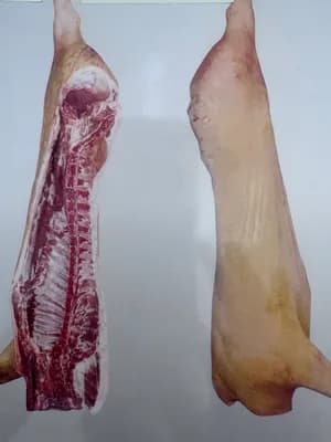 Chilled pork sides E class, without jowls, 44-46 kg