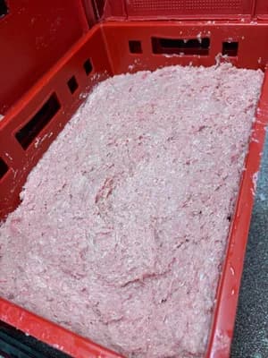 Chicken Breast & Fillet product image