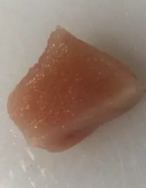 Pileća prsa i fileti product image