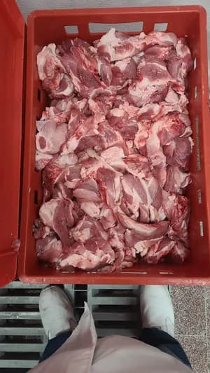 Shoulder 4d 21000 kg