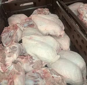 Fresh chicken breast caps