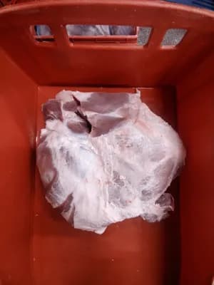 Frozen pork hind shank boneless