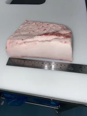 Frozen ibérico pork back fat