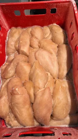 Chicken fillet frozen block 15 kg