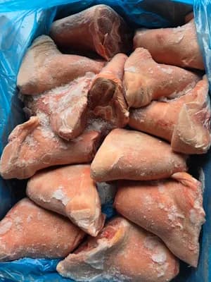 Pork front hock/shank meat bone in, skin on, Weight: 1.2+ kg / piece