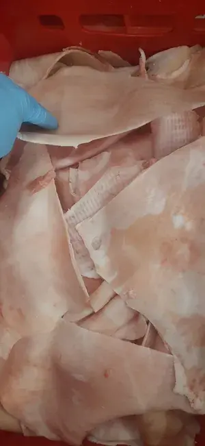 Frozen pork skin