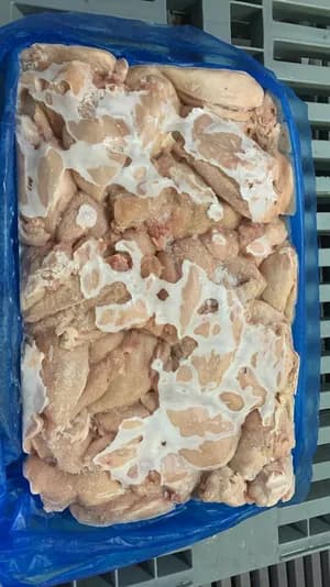 Frozen chicken fillet with inner, grade A polyblock