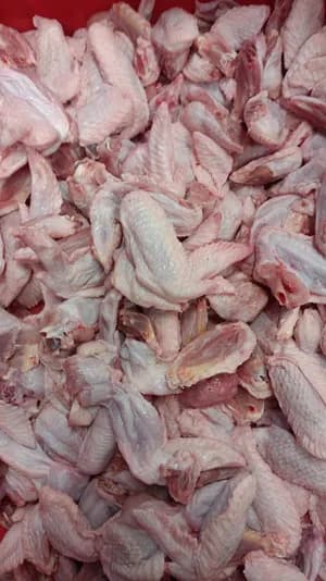 Frozen chicken wings grade B