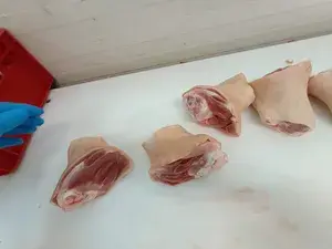 Frozen Pork Hind shank bone in, rind on, Poland