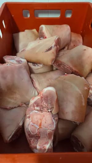 Frozen Pork Front shank bone in, rind on