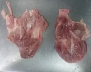 Frozen chicken leg meat