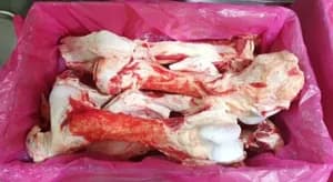 Frozen Australian Beef Mixed Leg Bones - 706 Cartons / 13.52MT